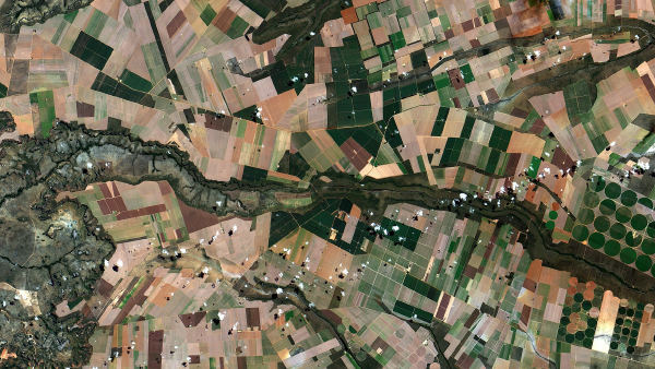 Brasil abriu 700 mercados para o agro desde 2023, diz o governo federal