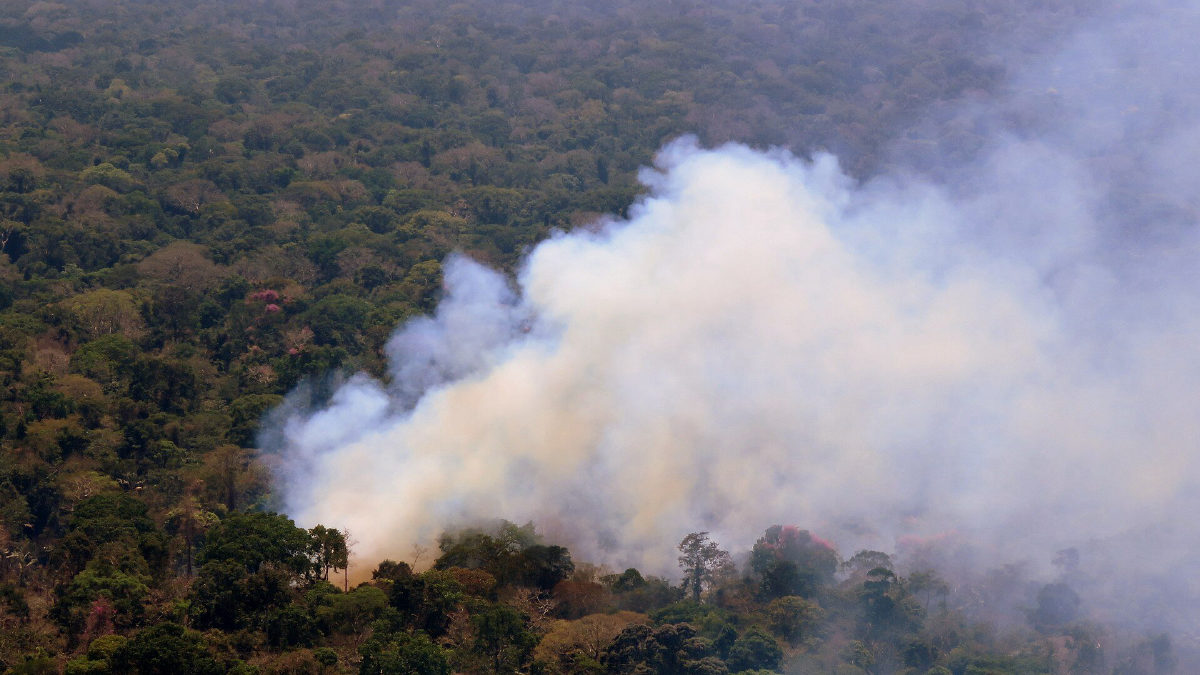 Governo federal reconhece emergência em 36 cidades do Amazonas após incêndios