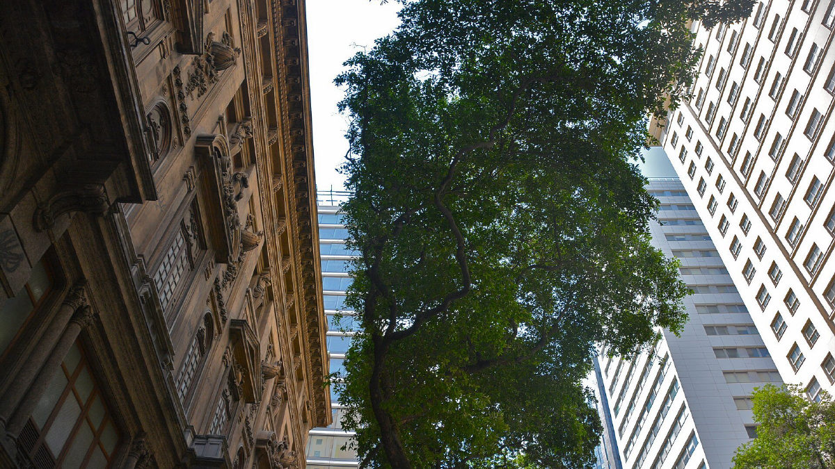 Governo do RJ aponta indícios de desvios de R$ 400 milhões na Cedae Saúde