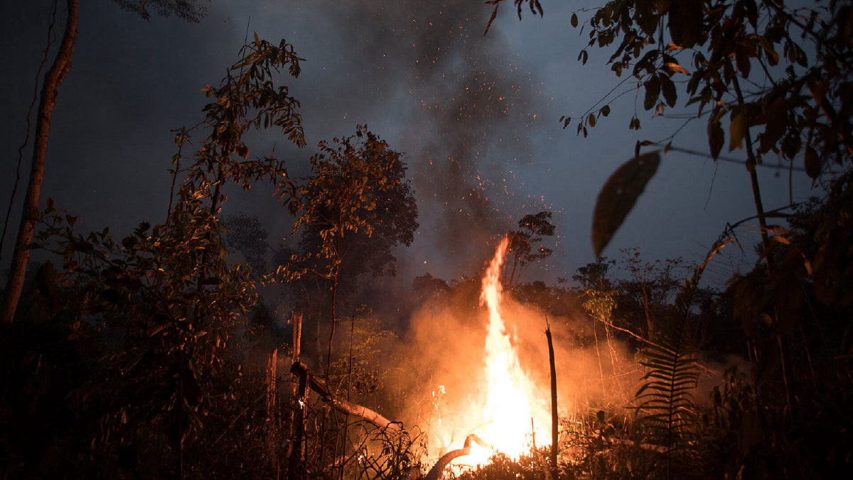 Desmatamento na Amazônia cai 41,8% e chega ao menor nível desde 1988