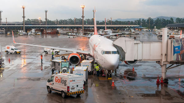 PF prende três com passaportes falsos em Guarulhos e apreende 21 ovos de aves