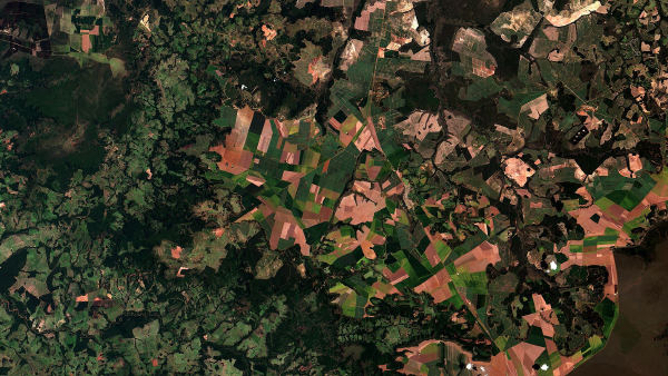 IBGE estima safra recorde de 354,5 milhões de toneladas de grãos em 2026