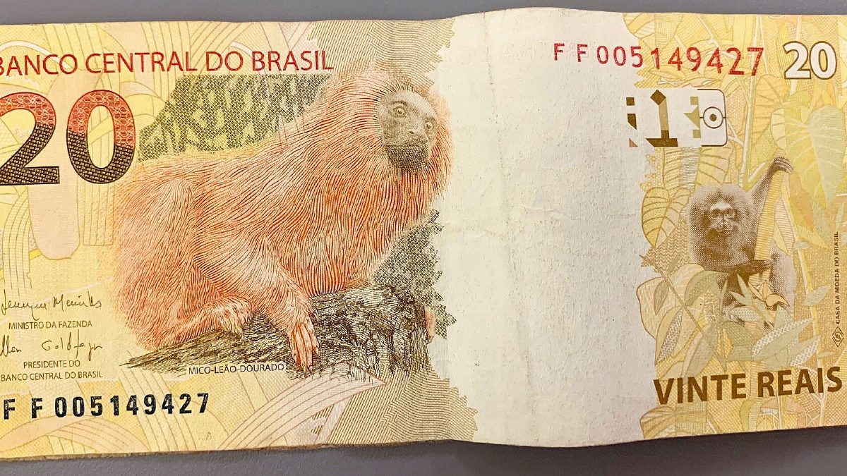 CNI: 76% das indústrias apontam juros altos como barreira ao crédito