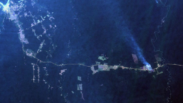 Governo reconhece emergência por incêndios em 36 cidades do Amazonas
