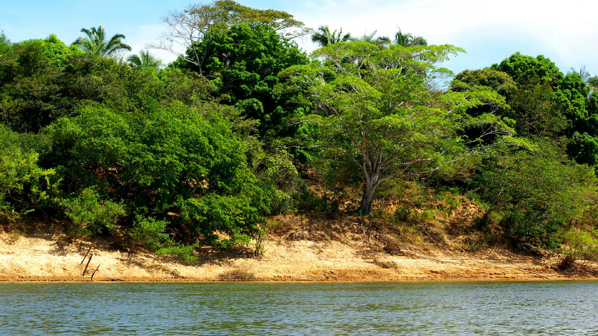 Cerrado perdeu 13,9 milhões de hectares de vegetação às margens de rios