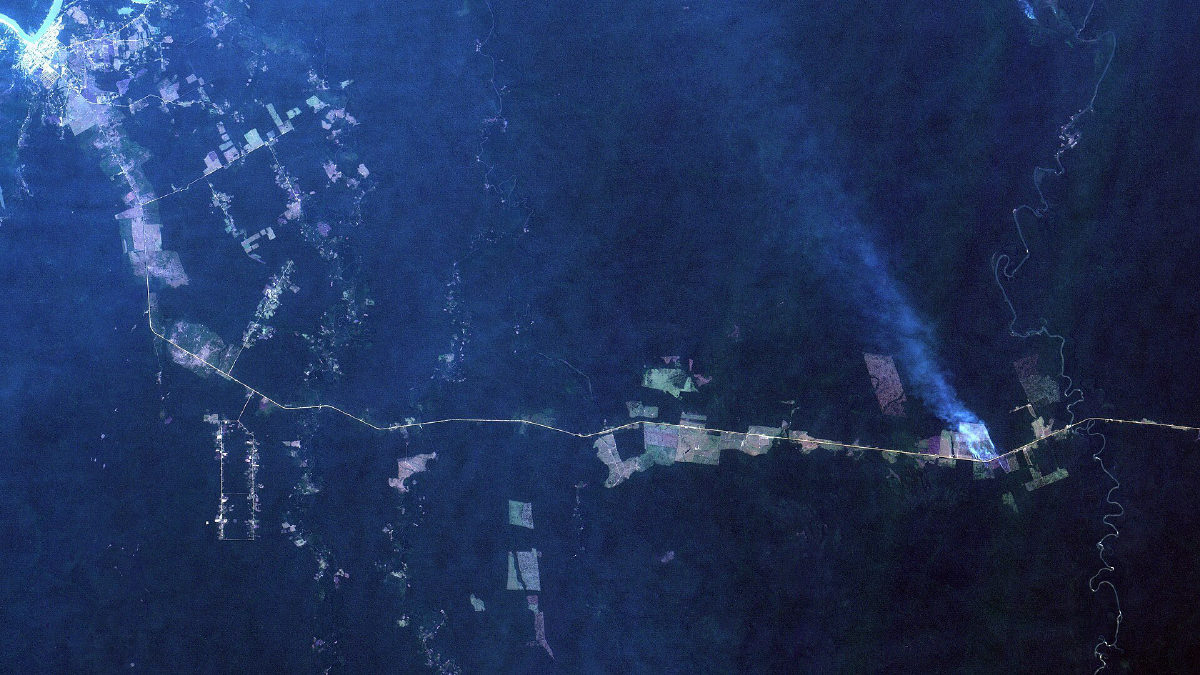 Governo reconhece emergência por incêndios em 36 cidades do Amazonas