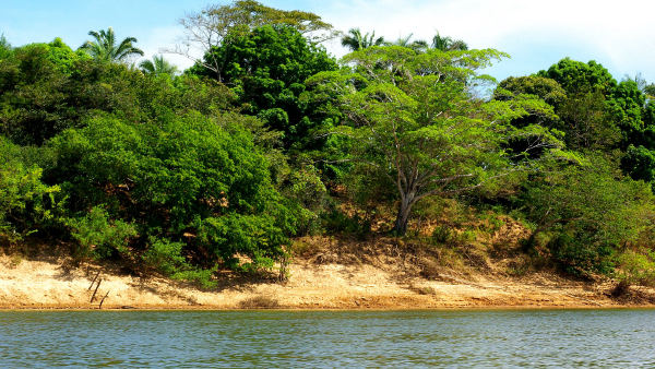 Cerrado perdeu 13,9 milhões de hectares de vegetação às margens de rios