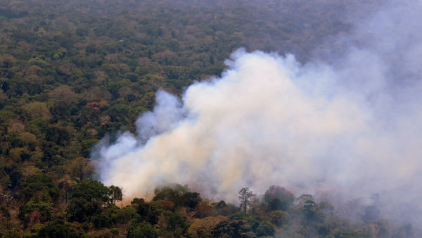 Governo federal reconhece emergência em 36 cidades do Amazonas após incêndios