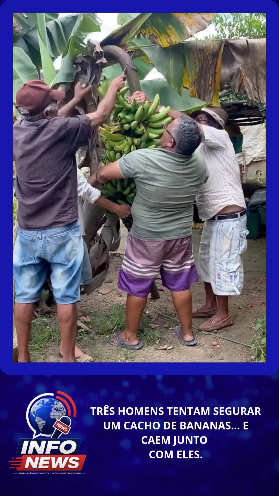 TRÊS HOMENS TENTAM SEGURAR UM CACHO DE BANANAS… E CAEM JUNTO COM ELE